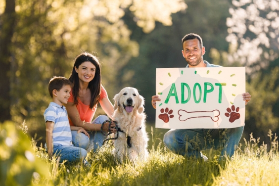 familyadoptingdog