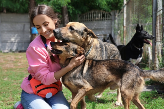 woman-at-dog-rescue