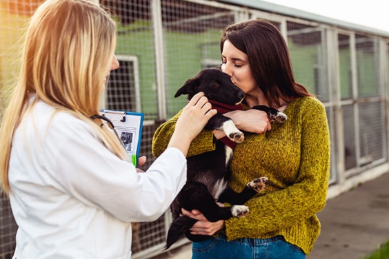 womenworkingdogshelter